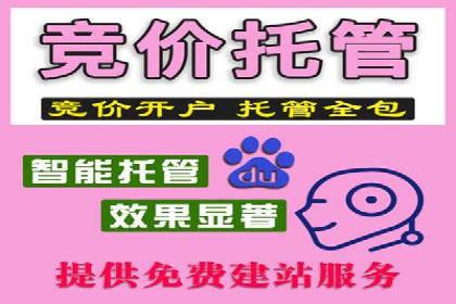 竞价SEM案例解析：电商行业营销策略